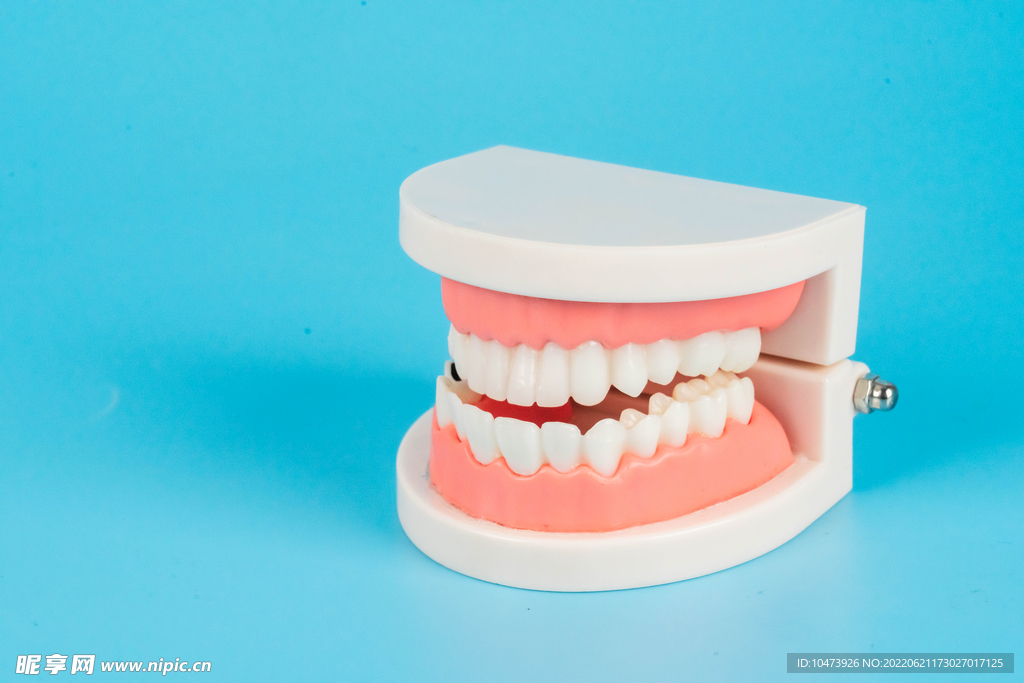 医疗牙齿护理模型