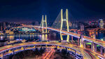 上海杨浦大桥夜景