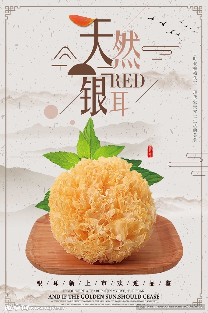银耳