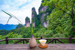 茶
