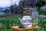 茶