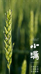 小满