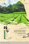 茶园