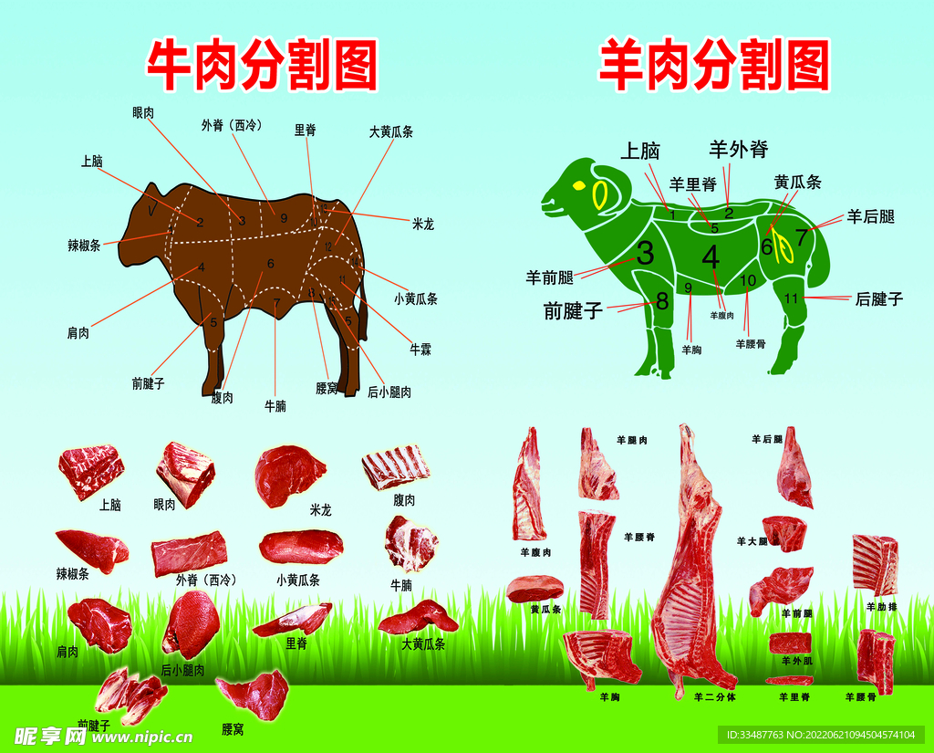 牛羊肉分割图