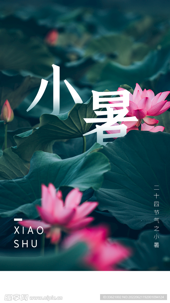 小暑  