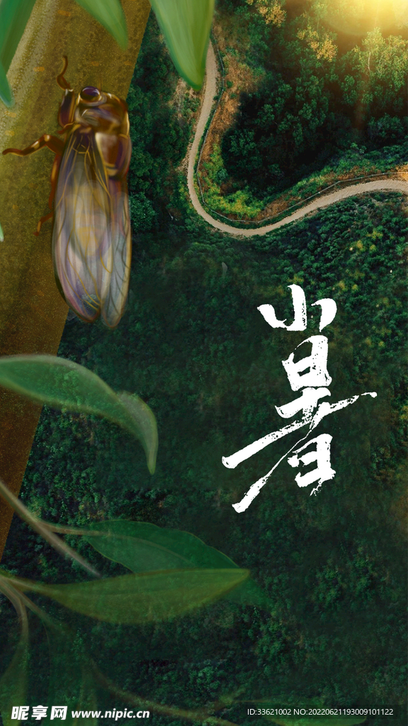 小暑  