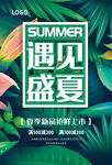 遇见盛夏