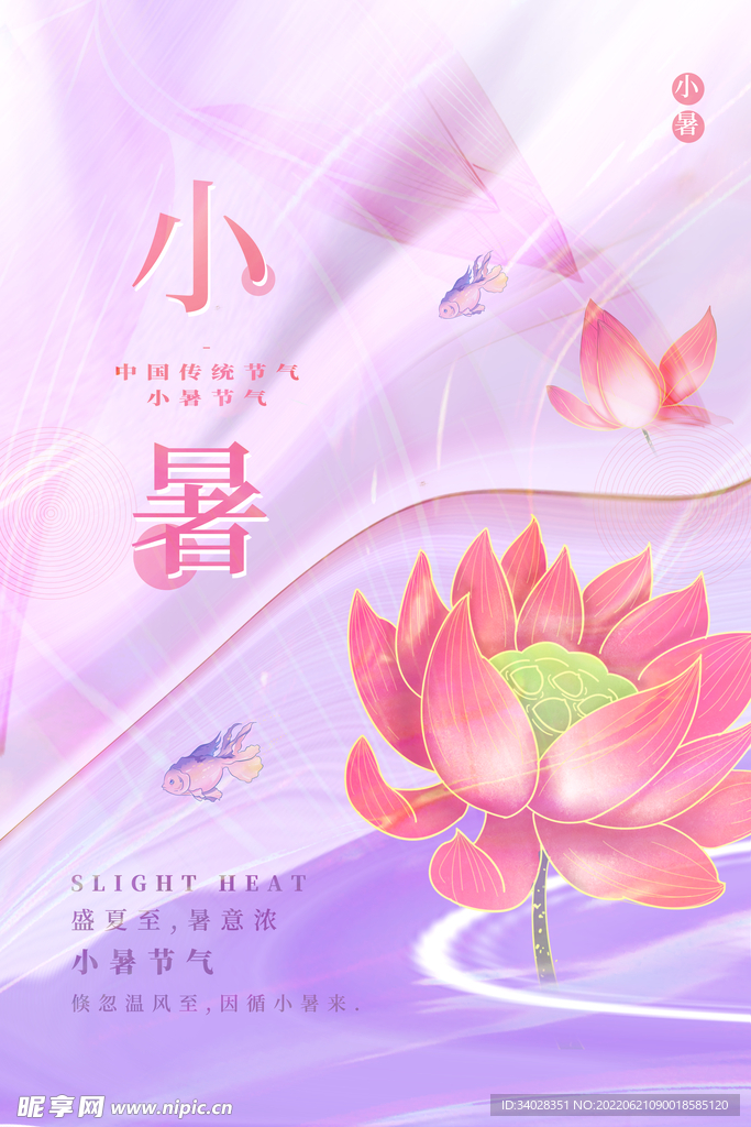 小暑海报