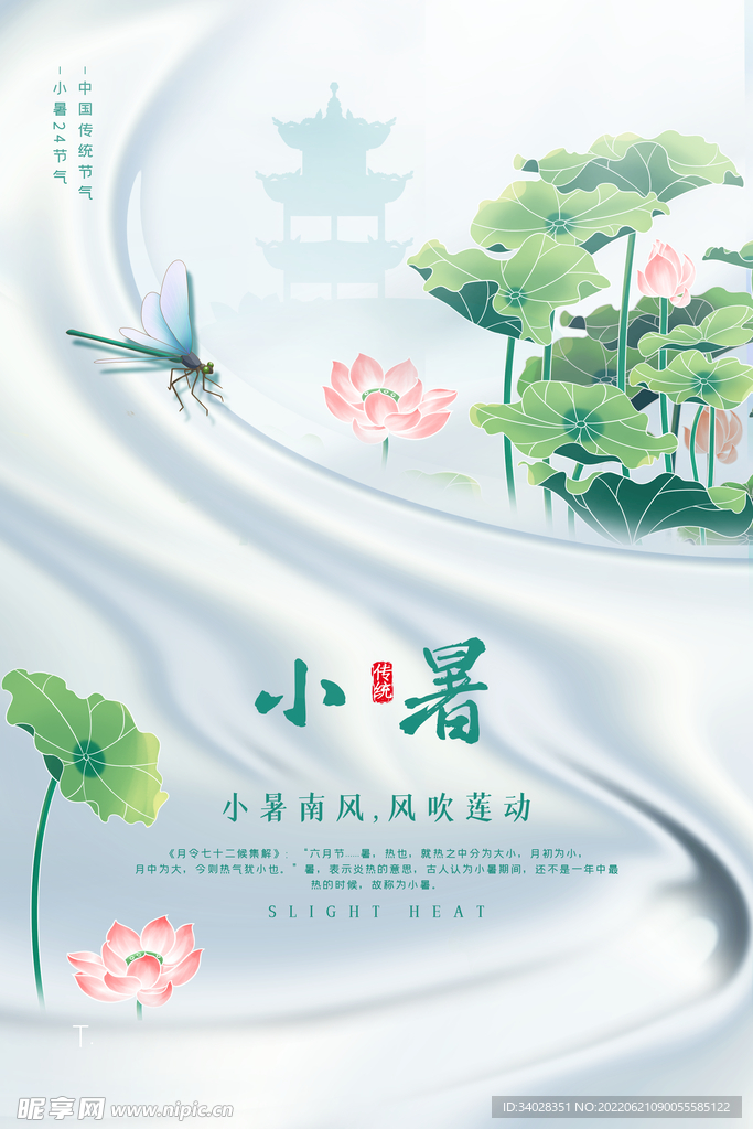 小暑海报