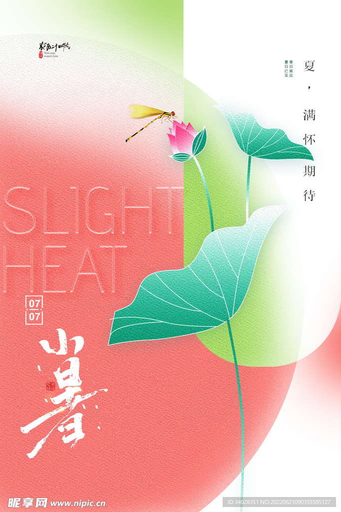 小暑海报