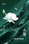 小暑海报