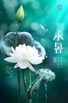 小暑海报