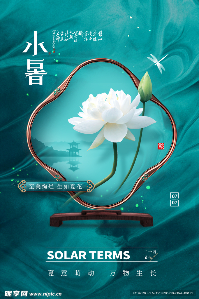 小暑海报