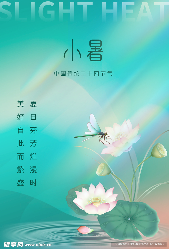 小暑海报