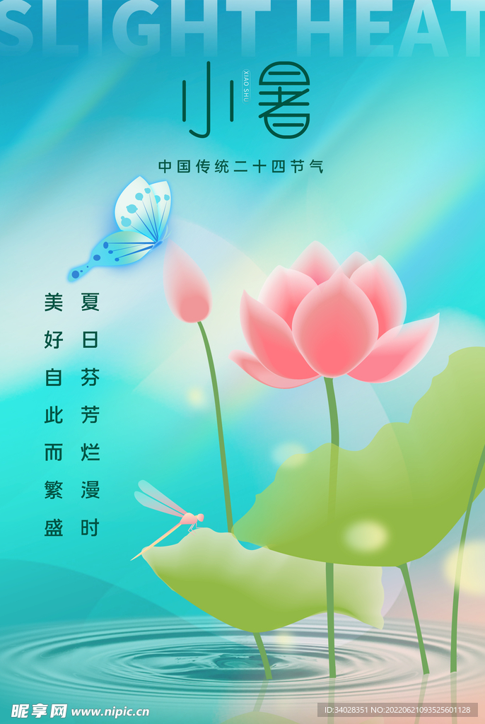 小暑海报