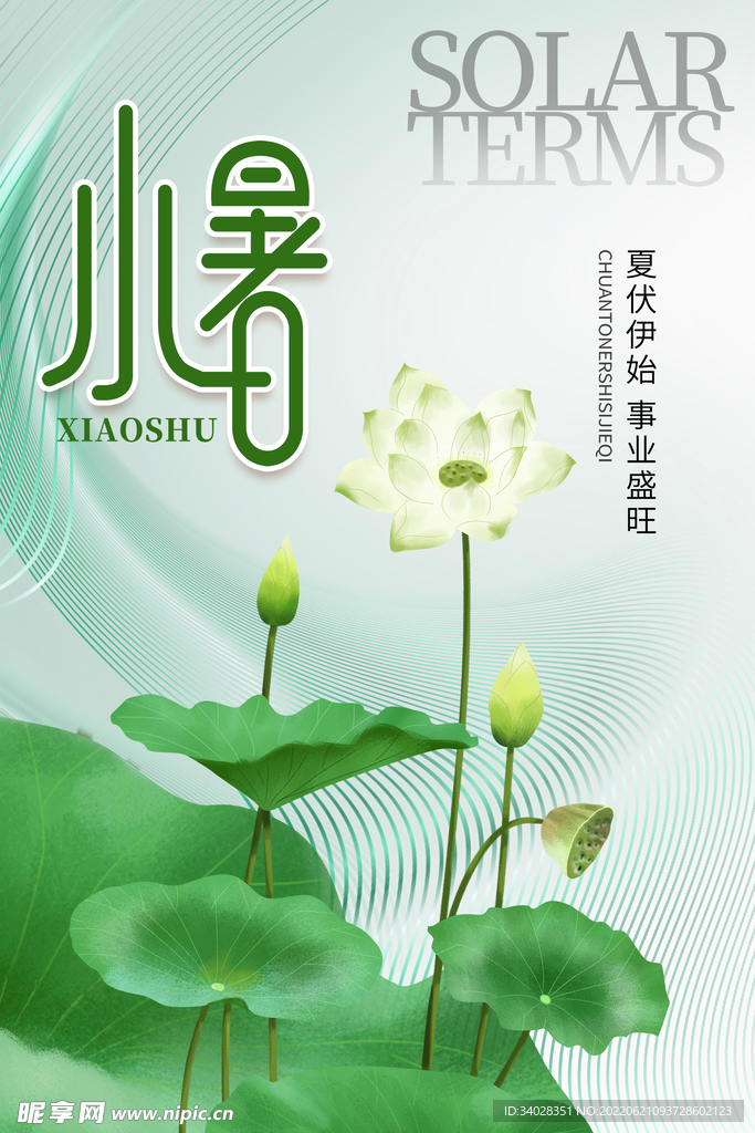 小暑海报
