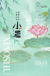小暑海报