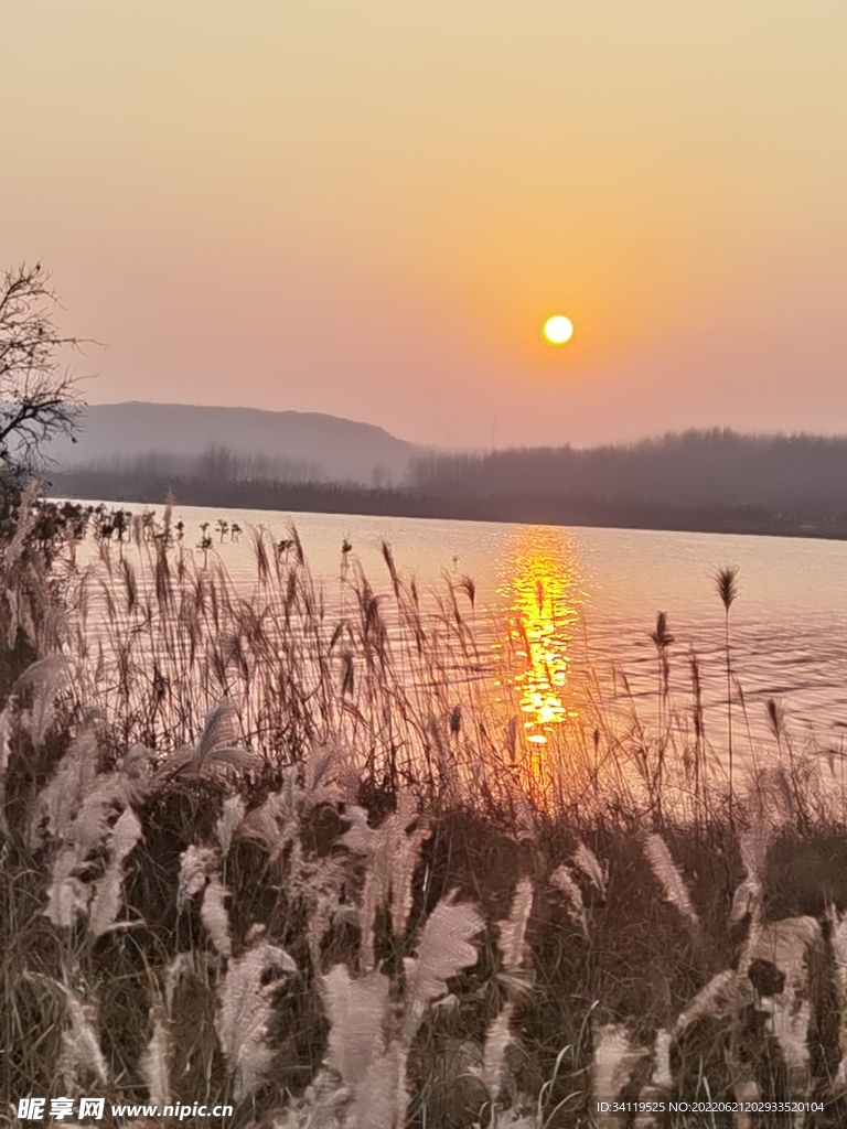 芦荡夕照