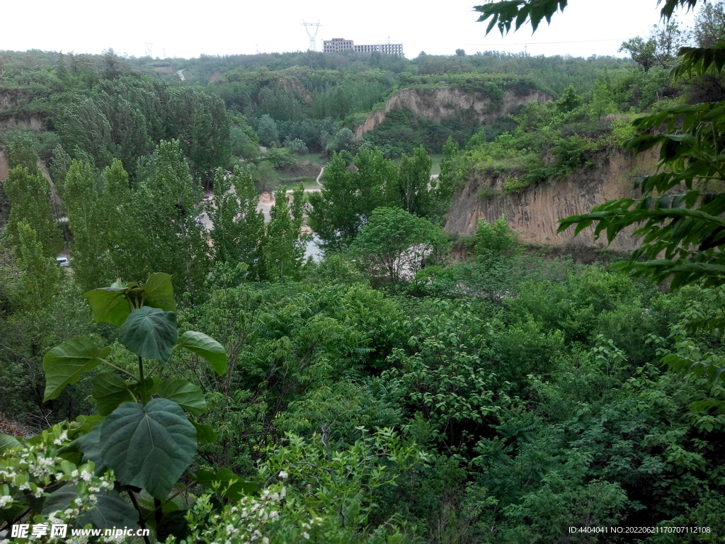 公园风景