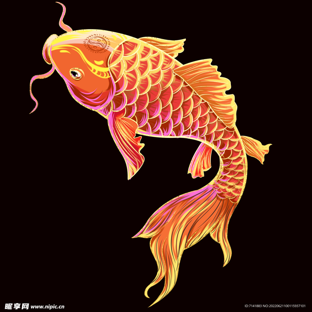锦鲤