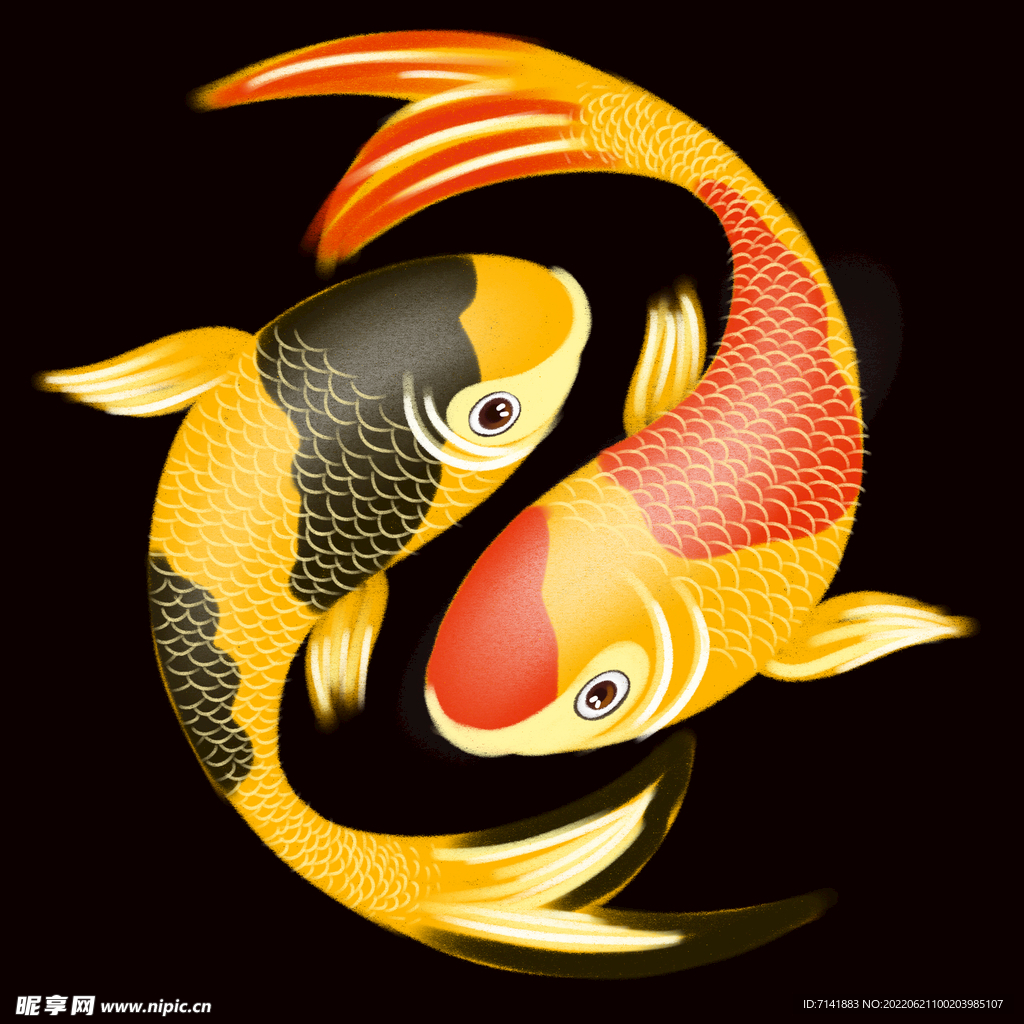 锦鲤