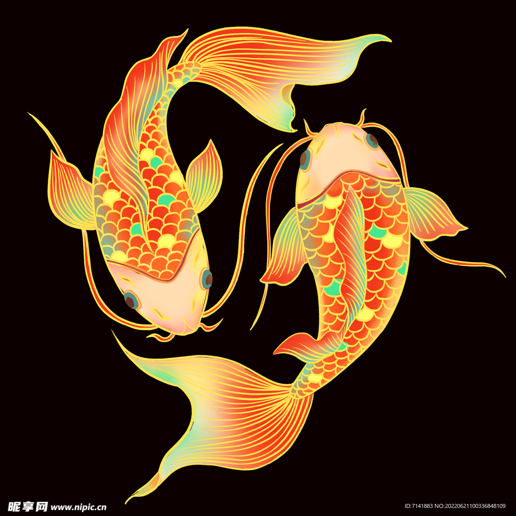 锦鲤