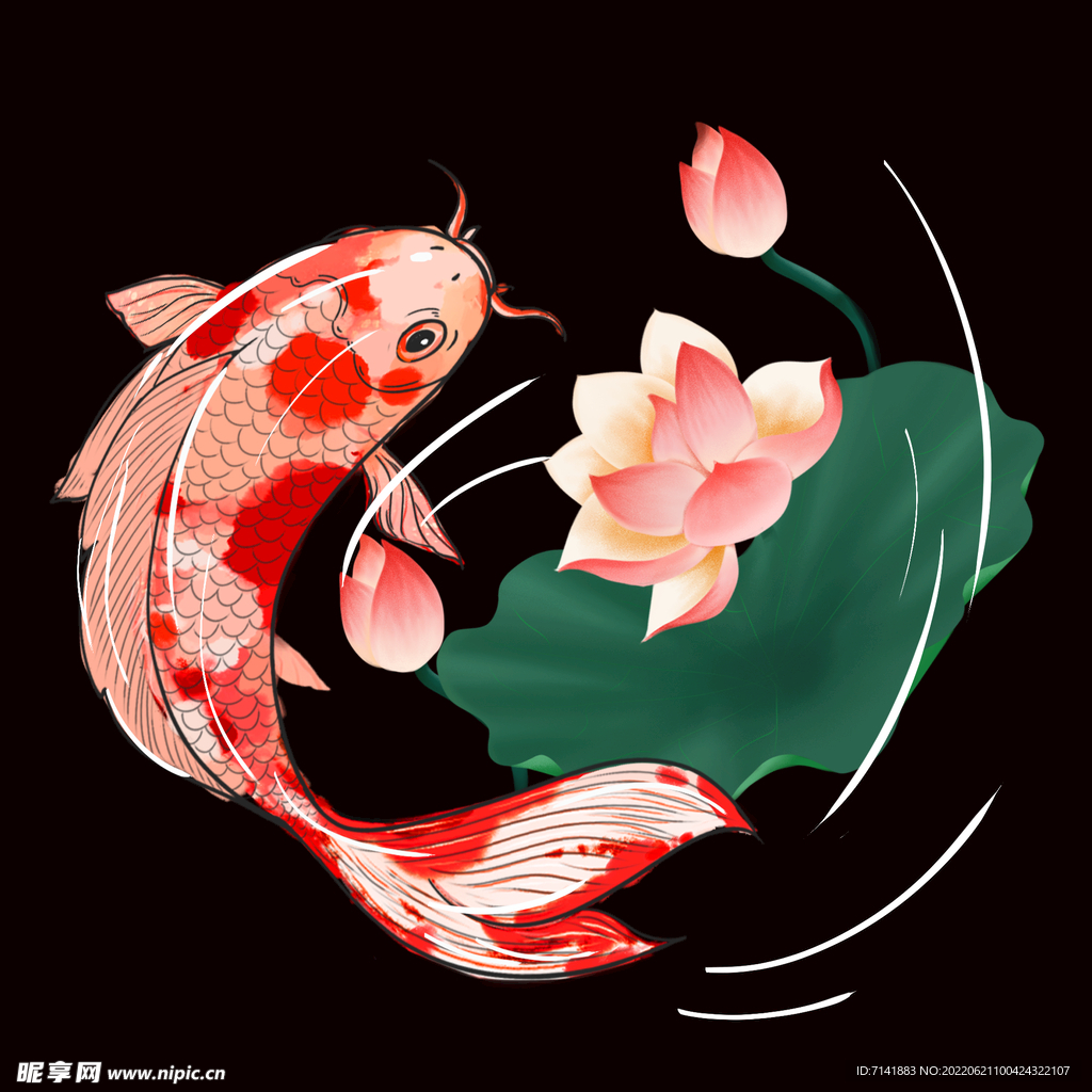 锦鲤