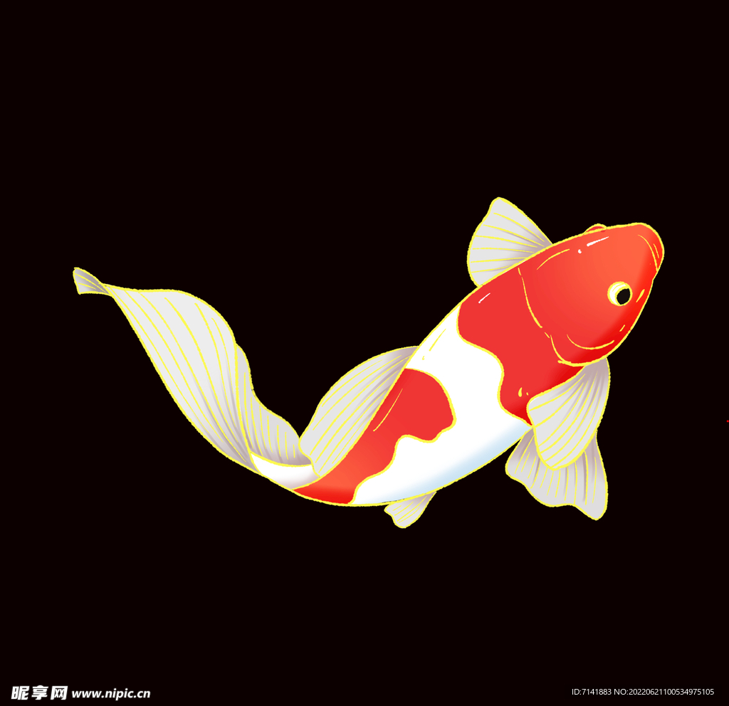 锦鲤