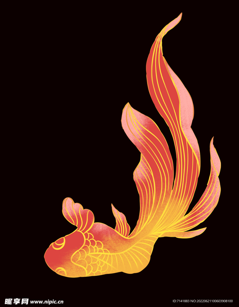 锦鲤