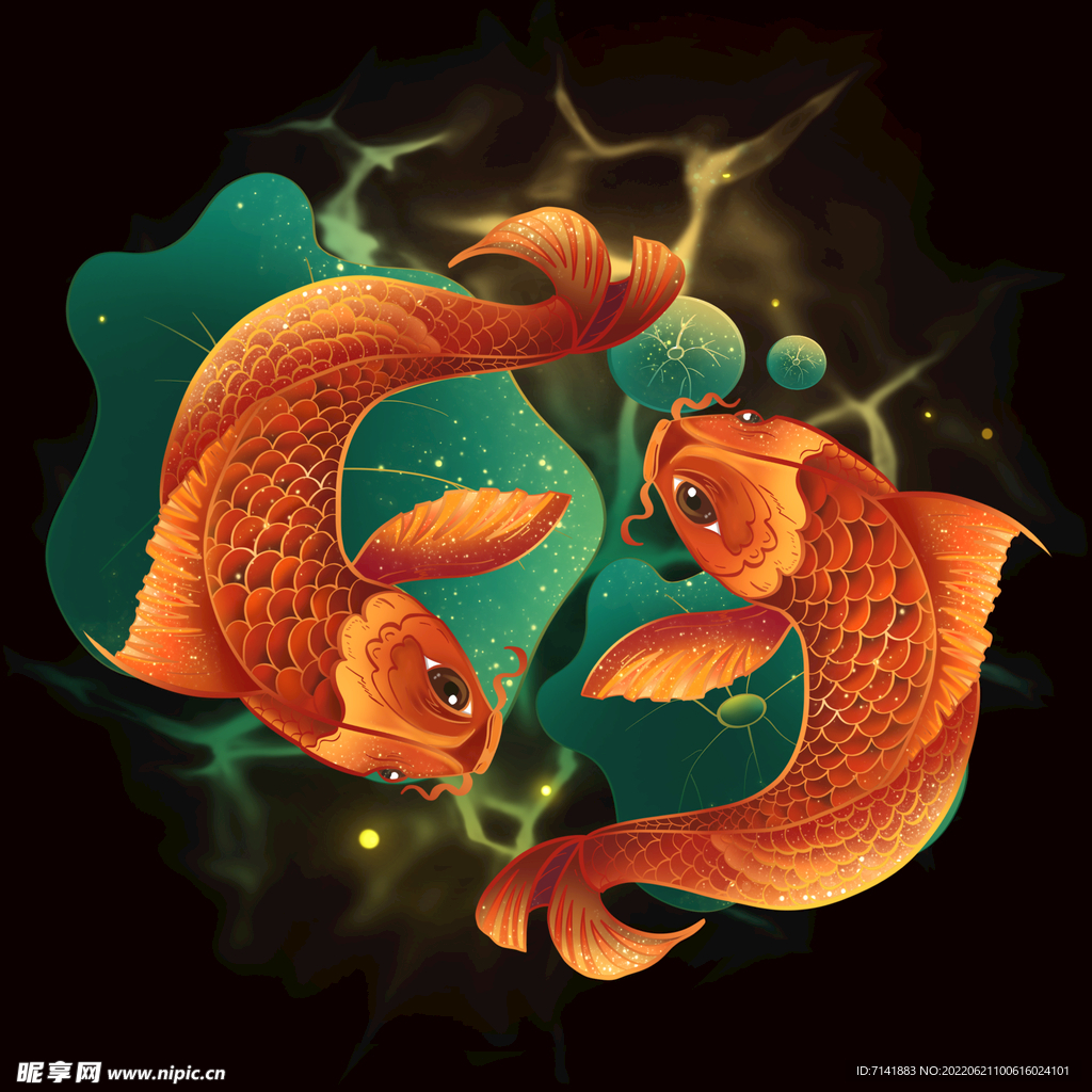 锦鲤
