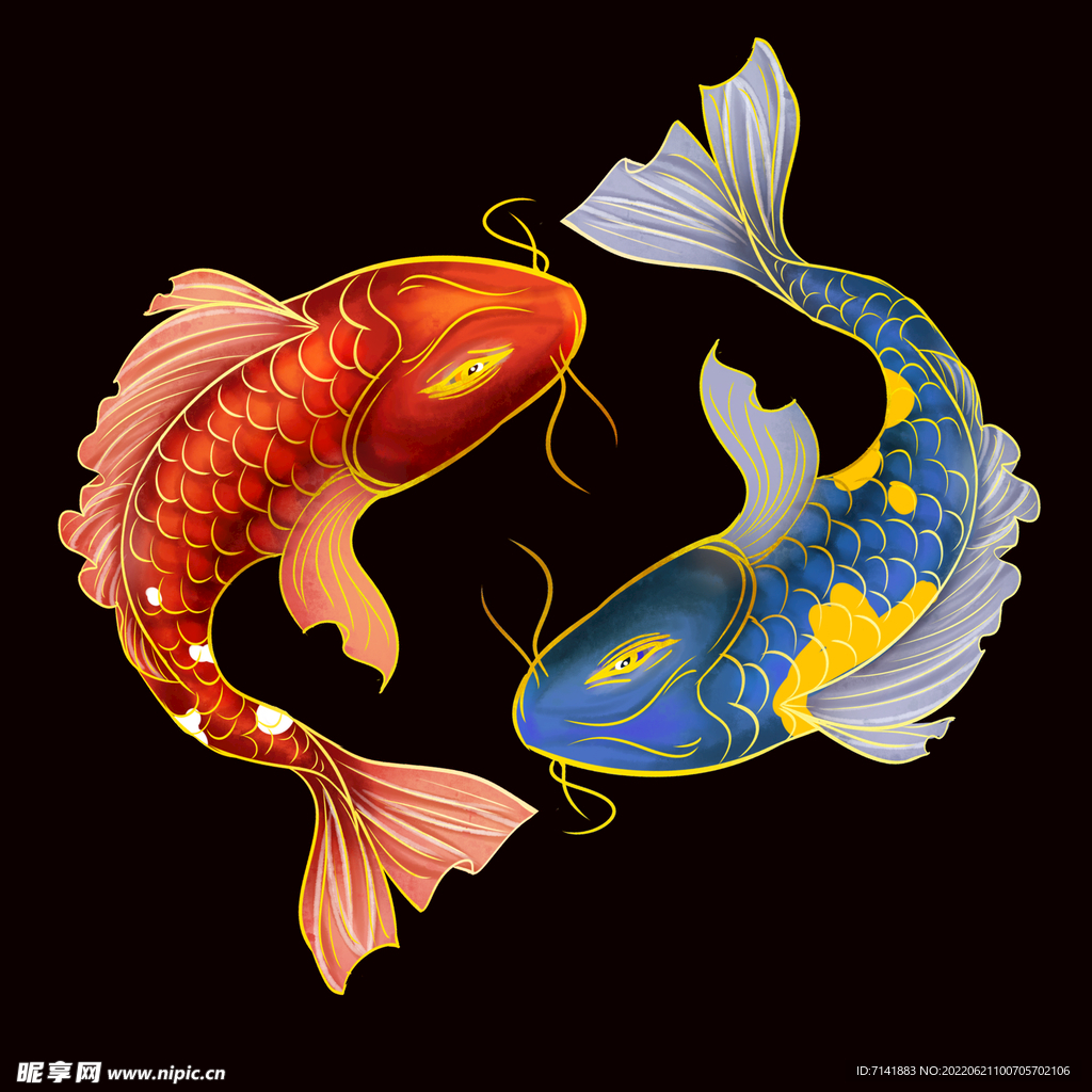 金鱼