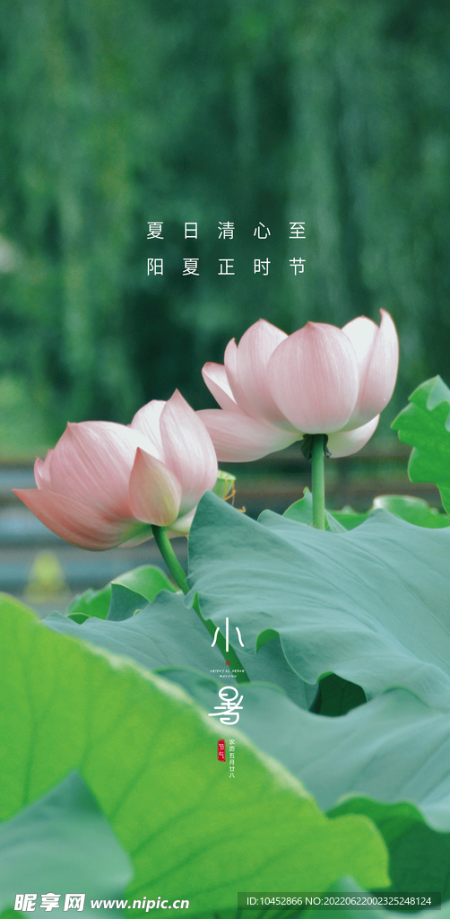 小暑大暑立夏