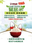 米饭宣传海报