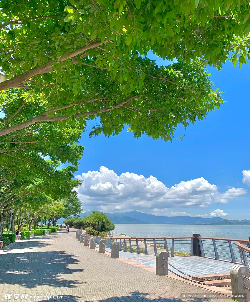 海滨公园景观