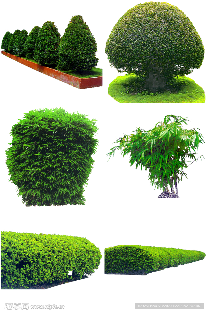 后期植物素材
