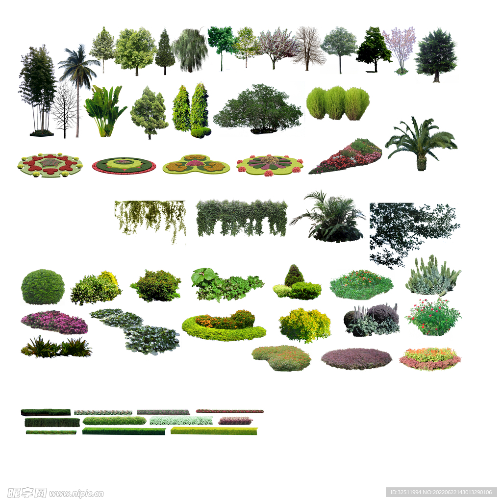 后期植物素材