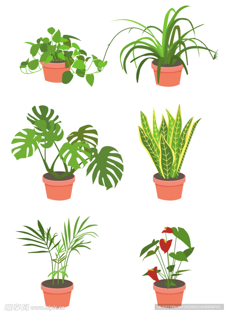 扁平化植物
