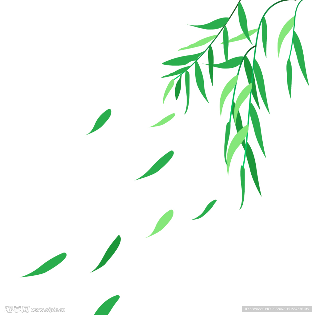 绿叶