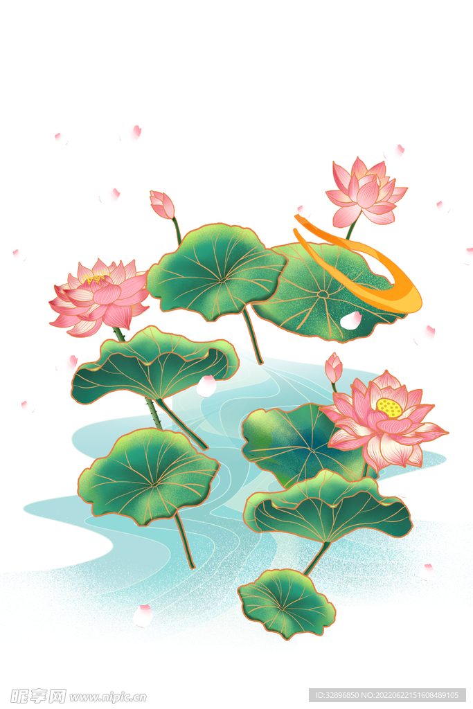 荷花