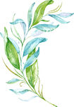 绿植装饰画