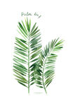 绿植装饰画