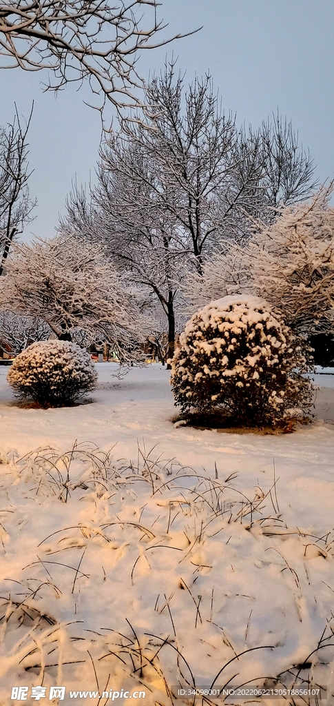 雪景