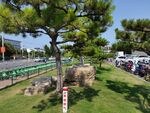 公园风景