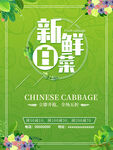 新鲜白菜