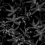 黑白花卉线条