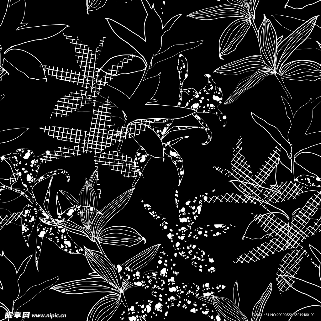 黑白花卉线条