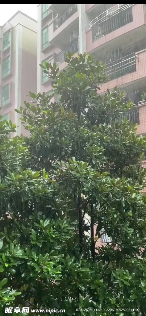 雨一直下