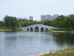 蝶湖