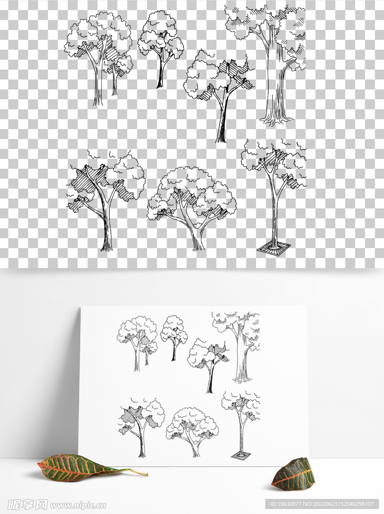 公园花园树木