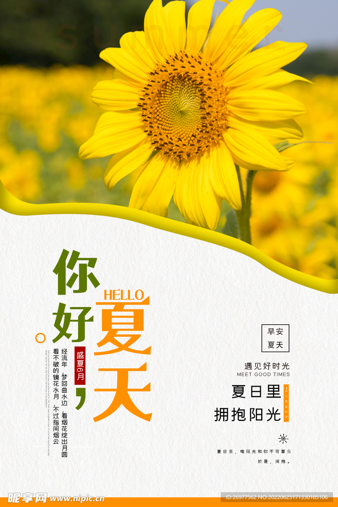  向日葵海报